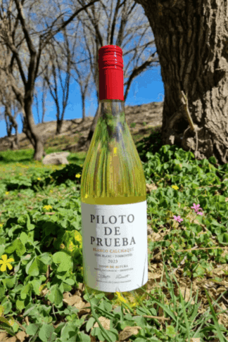46_pilotowines_piloto_de_prueba_blanco_calchaqui_2023