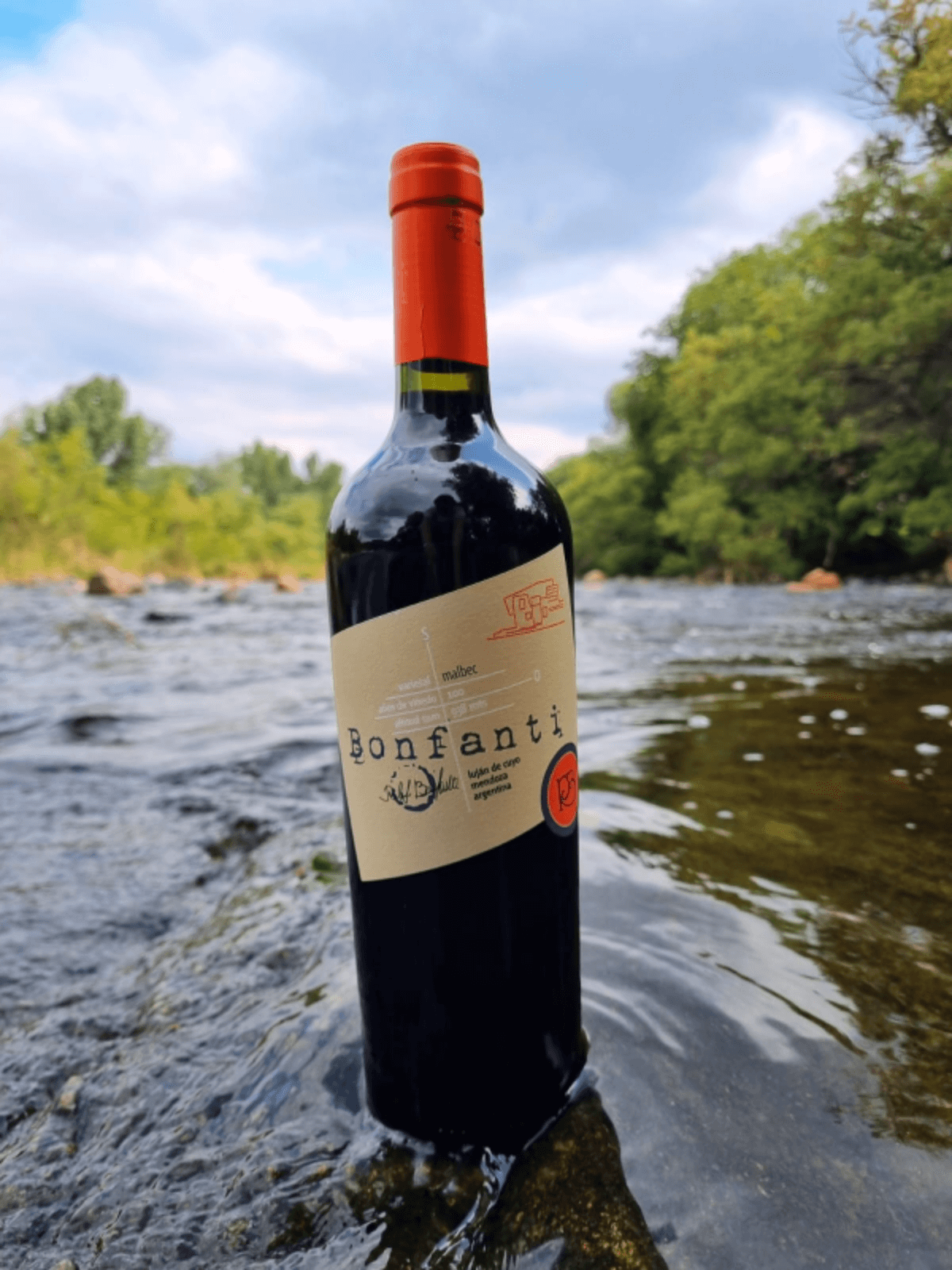 48_familia_bonfanti_malbec_joven_2023