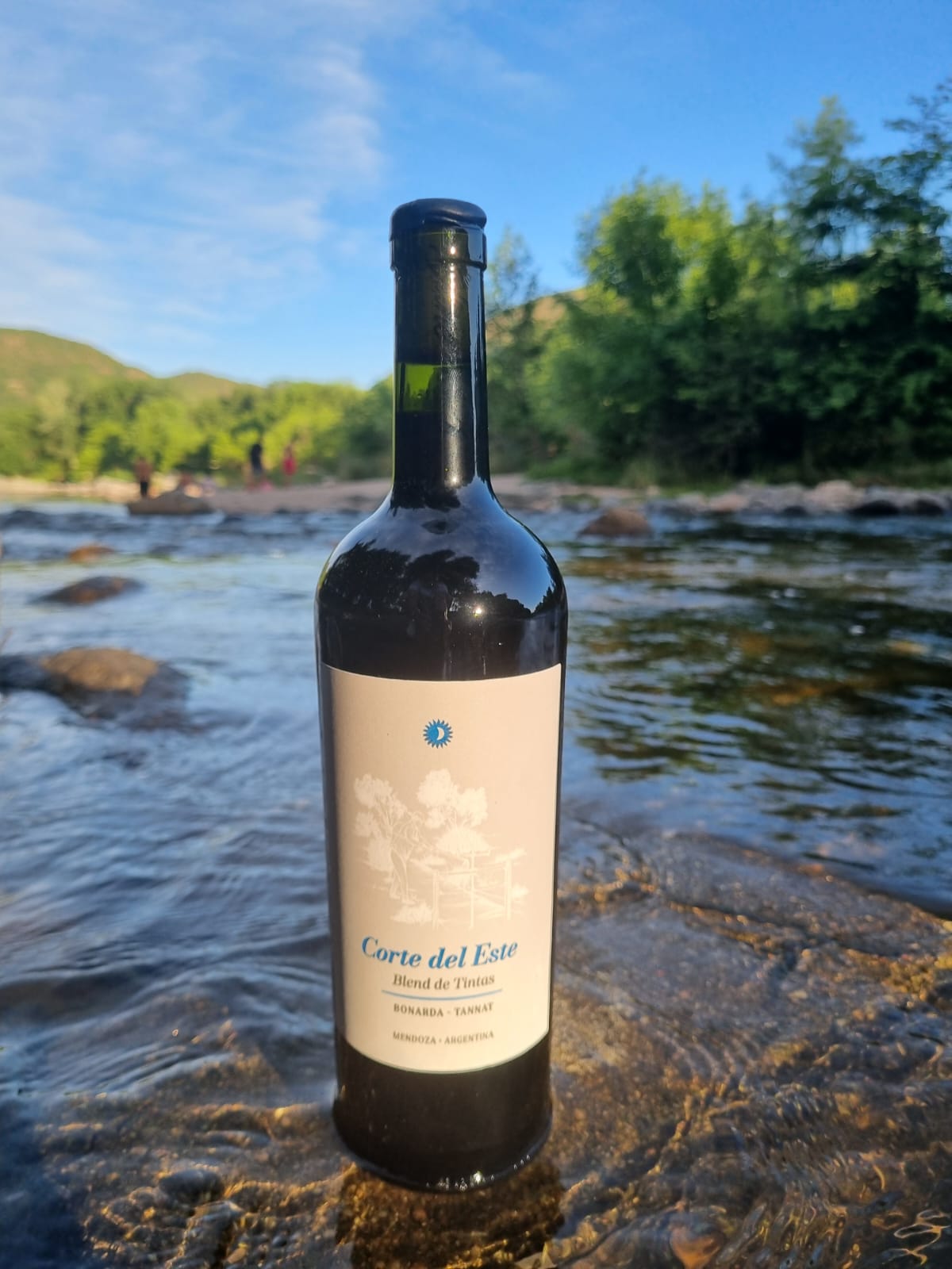 59_almahuar_corte_del_este_blend_de_tintas