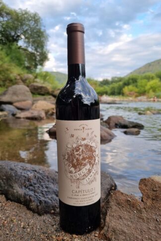 CAPITULO I CABERNET SAUVIGNON IG Vista Flores