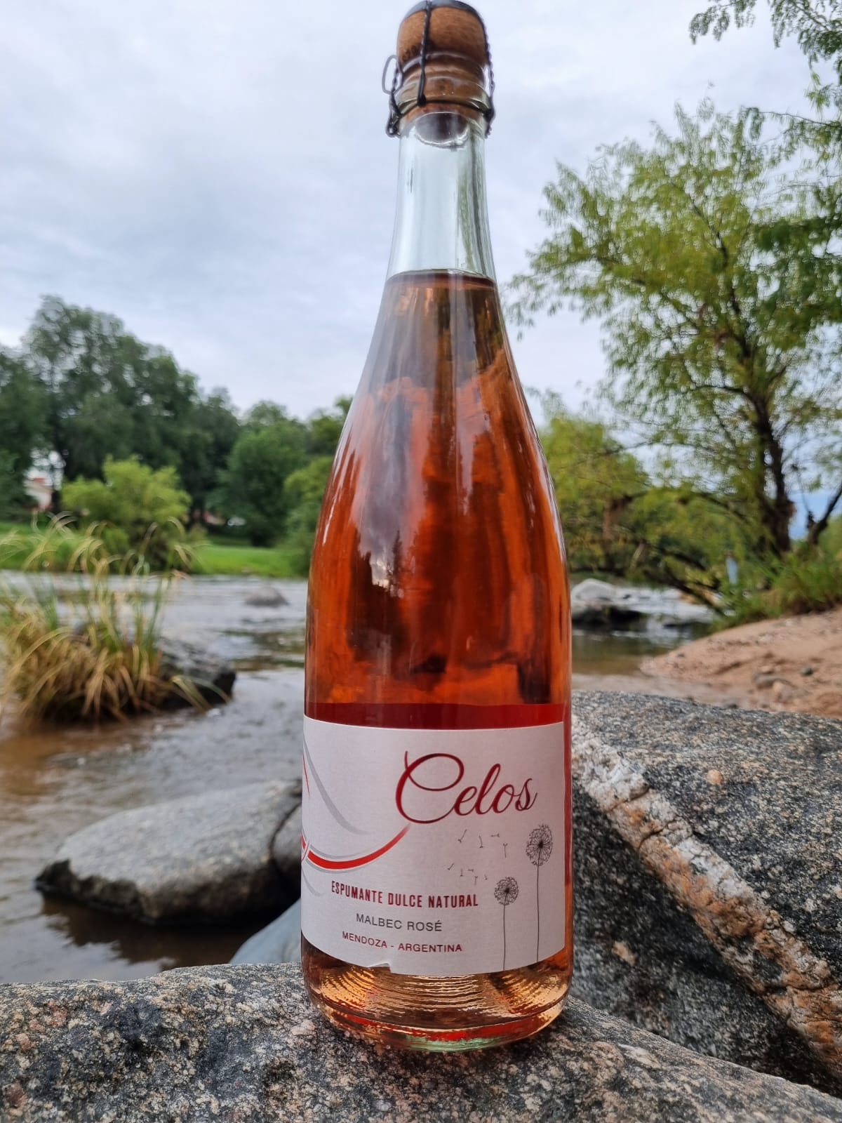 72_hinojosa_celos_espumante_malbec_rose_dulce_natural