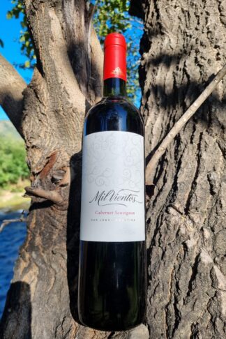 82_MIL_VIENTOS_CABERNET_SAUVIGNON_JOVEN