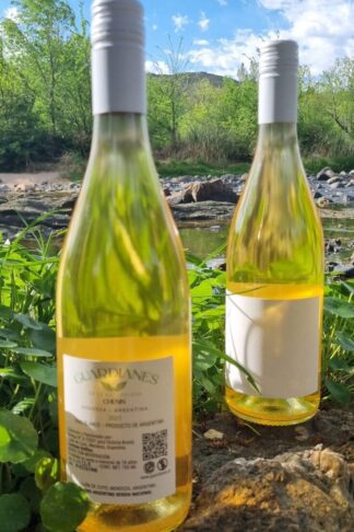 124_GUARDIANES_CHENIN_BLANC_2025