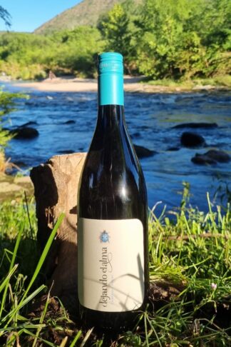 136_DEJANDO_EL_ALMA_CABERNET_FRANC