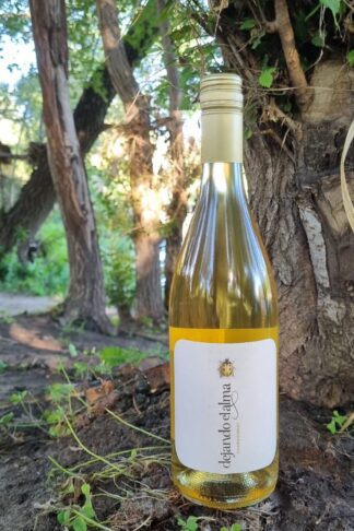 134_DEJANDO_EL ALMA_CHARDONNAY