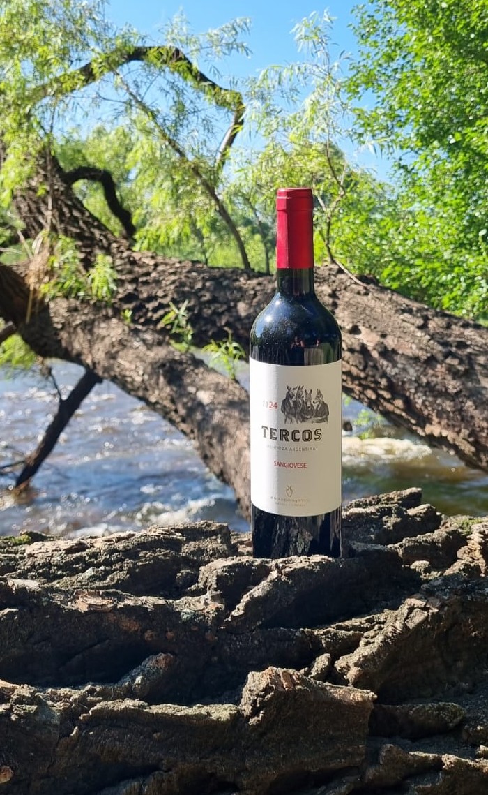 145_RICARDO_SANTOS_TERCOS_SANGIOVESE