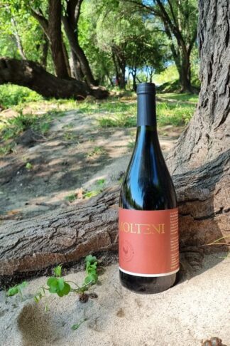 141_MARTINO_MOLTENI_BORDEAUX