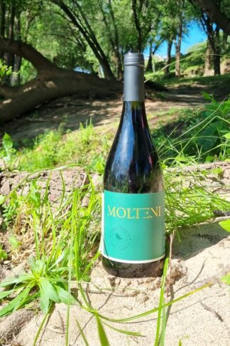140_MARTINO_MOLTENI_SUPER_TOSCANA