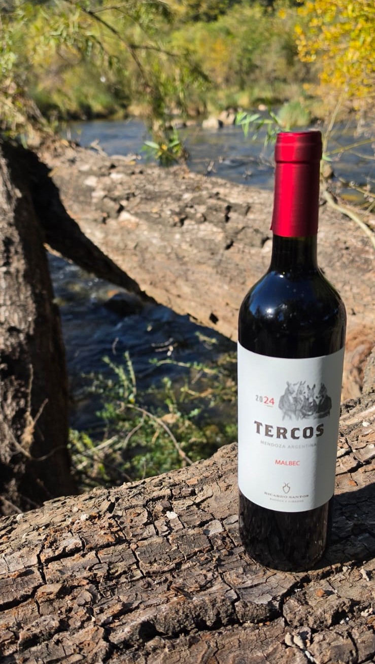 RICARDO SANTOS TERCOS MALBEC