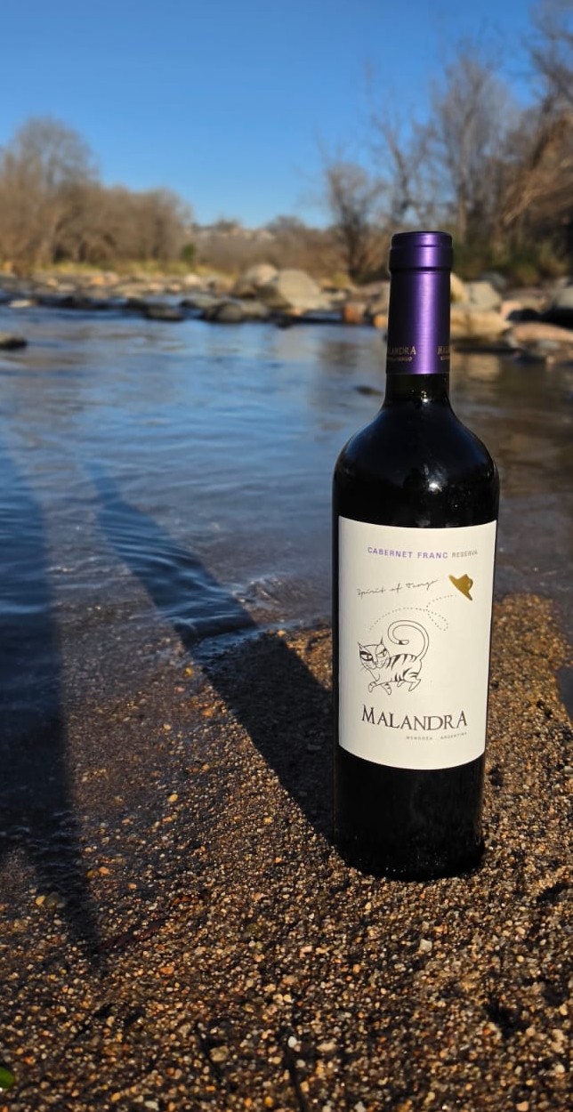 YANARDI MALANDRA CABERNET FRANC RESERVA