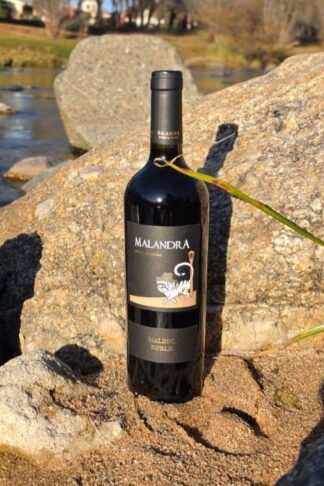 YANARDI MALANDRA MALBEC ROBLE